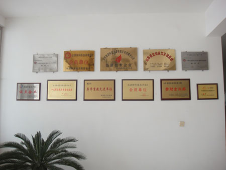 Muro de honor